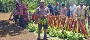 Food from Baiyer Valley 