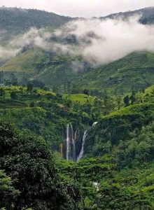 Waterfall in the District 