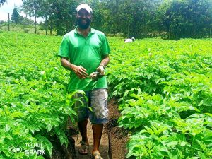 A potato farmer with his anticipated yield © Luke Rodney 